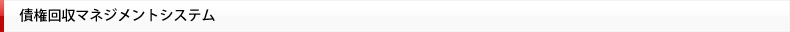債権回収マネジメントシステム