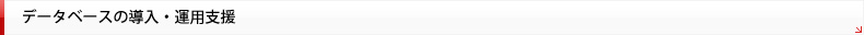 データベースの導入・運用支援