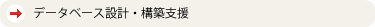 データベース設計・構築支援